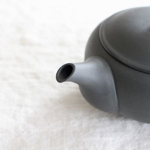 Japanese teapot Back handle, Clay Pottery Azumaya