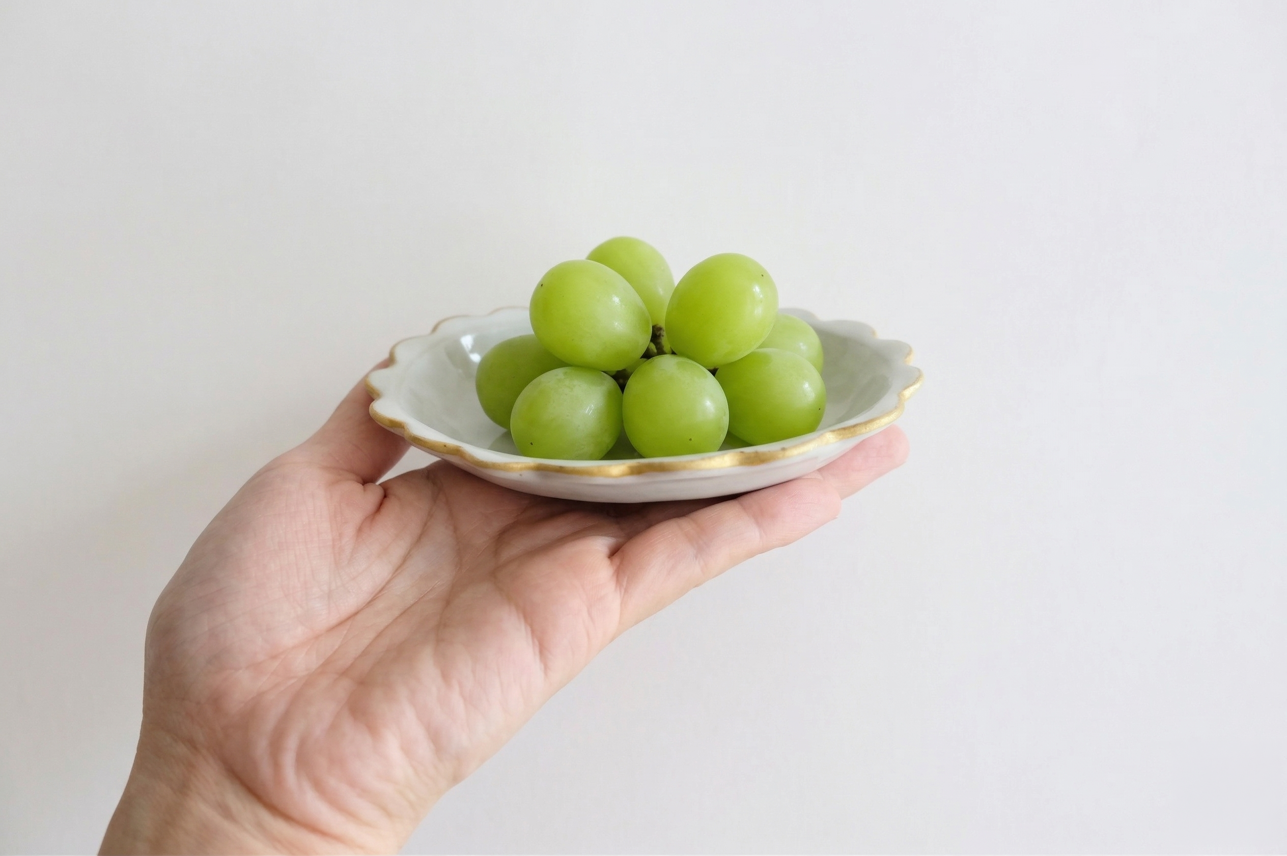sen Frame Frill Small Plate Small | Hasami Ware