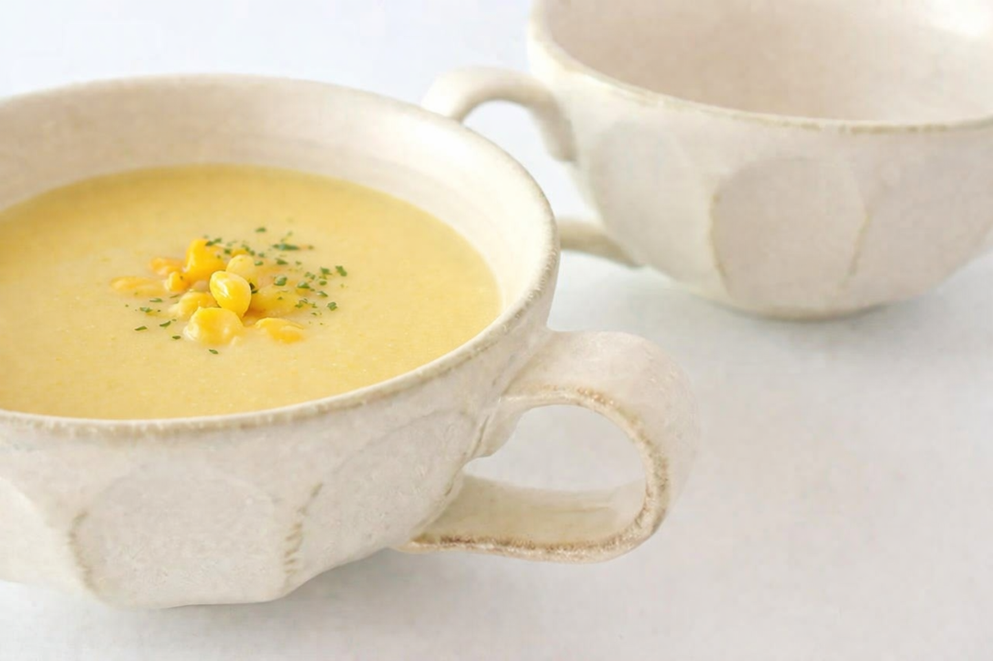 Soup Cup Chrysanthemum | Mino Ware
