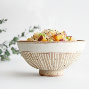 Rice Bowl HARU(Spring) | Mino Ware