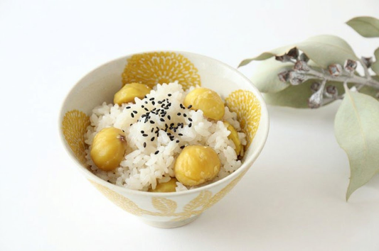 Rice Bowl Yellow  Dahlia | Hasami Ware