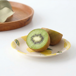 Oval Small Plate Lemon | Hasami Ware