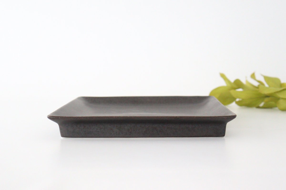 Square Plate Black 21cm/8.3in | Sushi Plate Mino Ware