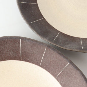 24cm/9.4in Rim Plate Pottery Shigaraki Yaki