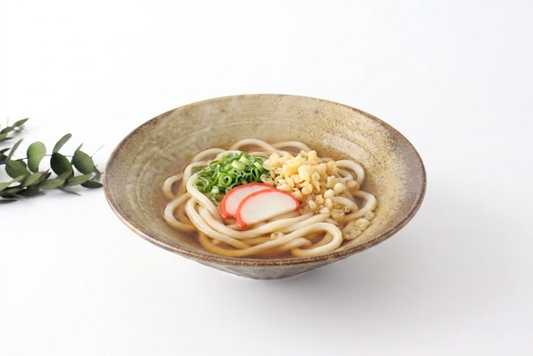 Wakura Shallow Bowl L | Serving Bowl Mino Ware
