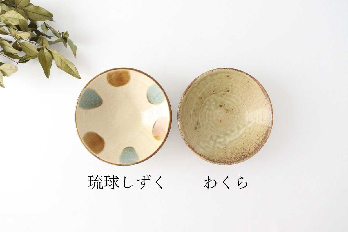 Ryukyu Drop Shallow Bowl S | Kobachi Mino Ware