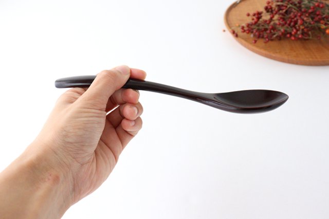 Ishikawa Shippohdo Lacquerware Cury Spoon Black