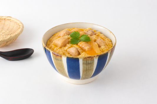 Bicolor Stripe Donburi Bowl  | Hasami Ware