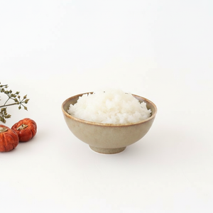 Arco Rice Bowl Silver Brown | Mino Ware