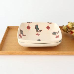 Square Large Bowl Radish | Serving Bowl Hasami Ware