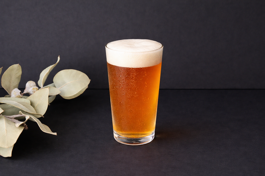 KIMURA GLASS Tumbler Compact 10oz