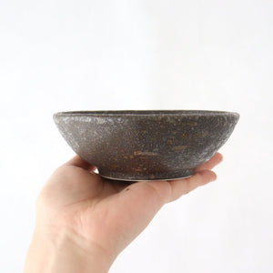 12cm/4.7in Bowl Porcelain Spica Mino Ware