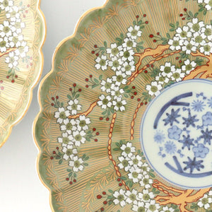 Rinkurou Kiln Round Plate Old Imari Sakura Tree Pattern 18.5cm/7.3in | Hasami Ware