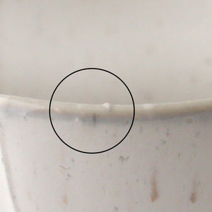 Pumped white kiln glazed porcelain Mino ware