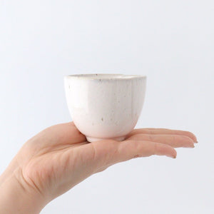 Pumped white kiln glazed porcelain Mino ware