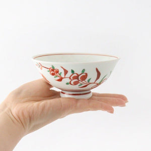 Rice Bowl Banreki Hand-painted Vermilion | Hasami Ware