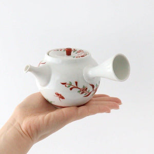 Japanese Teapot Banreki Hand-painted Vermilion | Kyusu Hasami Ware