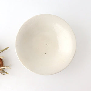 [Mizuki x Furutani Seitosho]  Iron Glaze Shallow Bowl 21cm/8.3in | Serving Bowl