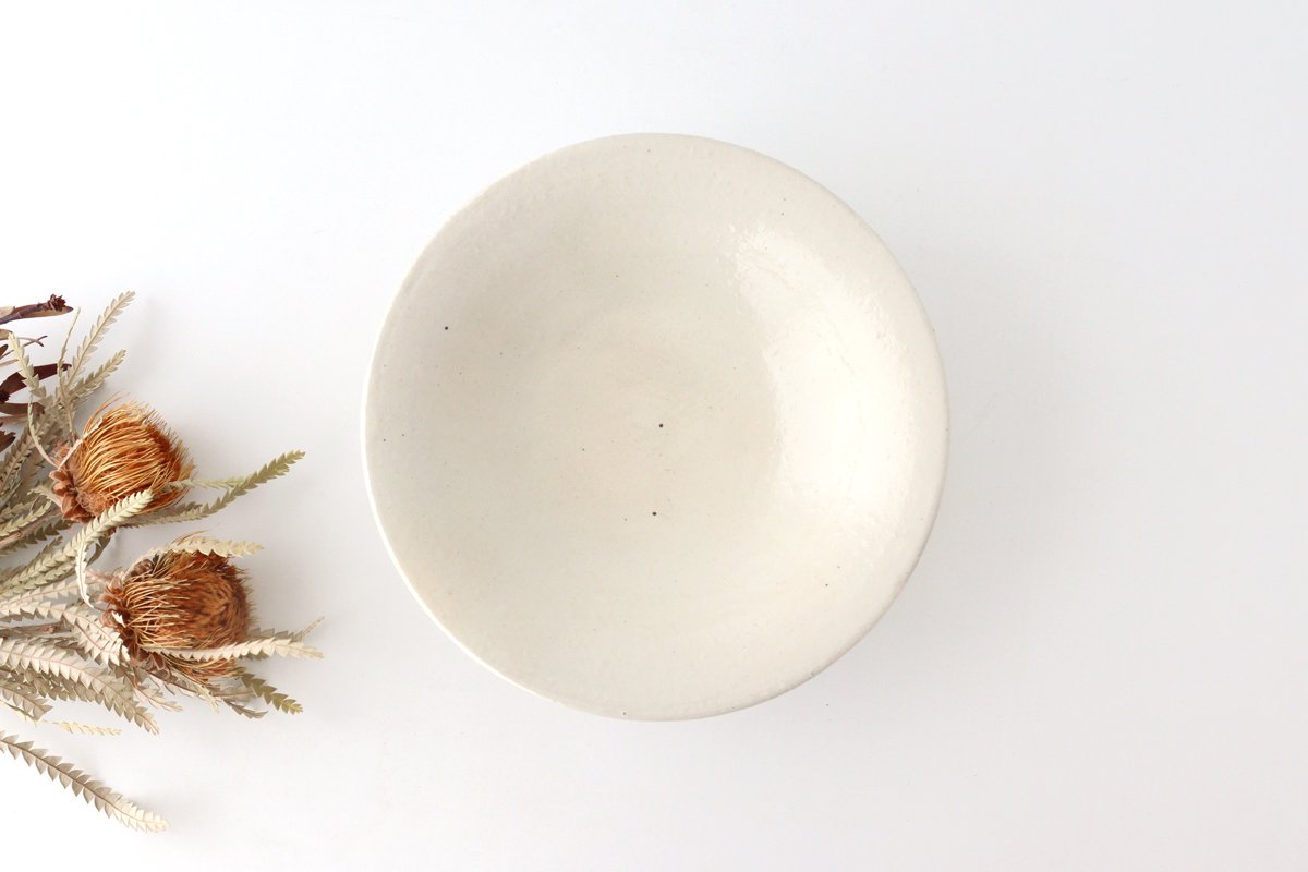 [Mizuki x Furutani Seitosho]  Iron Glaze Shallow Bowl 21cm/8.3in | Serving Bowl