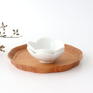 Small Bowl White Camellia | Kobachi Arita Ware