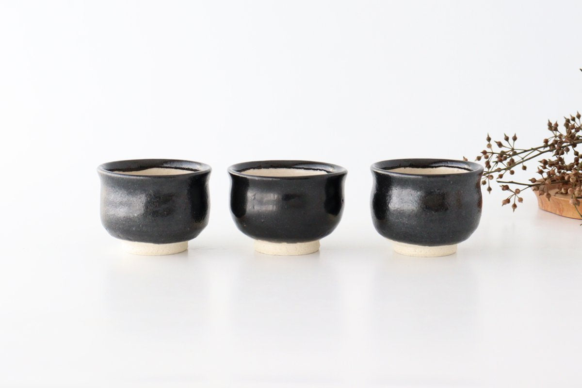 Japamese Cup Black Tenmoku | Yunomi Iga Ware