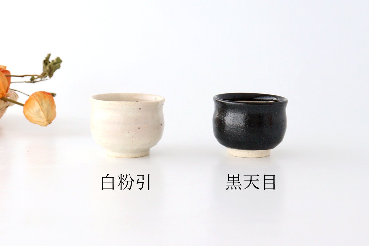 Japamese Cup Black Tenmoku | Yunomi Iga Ware