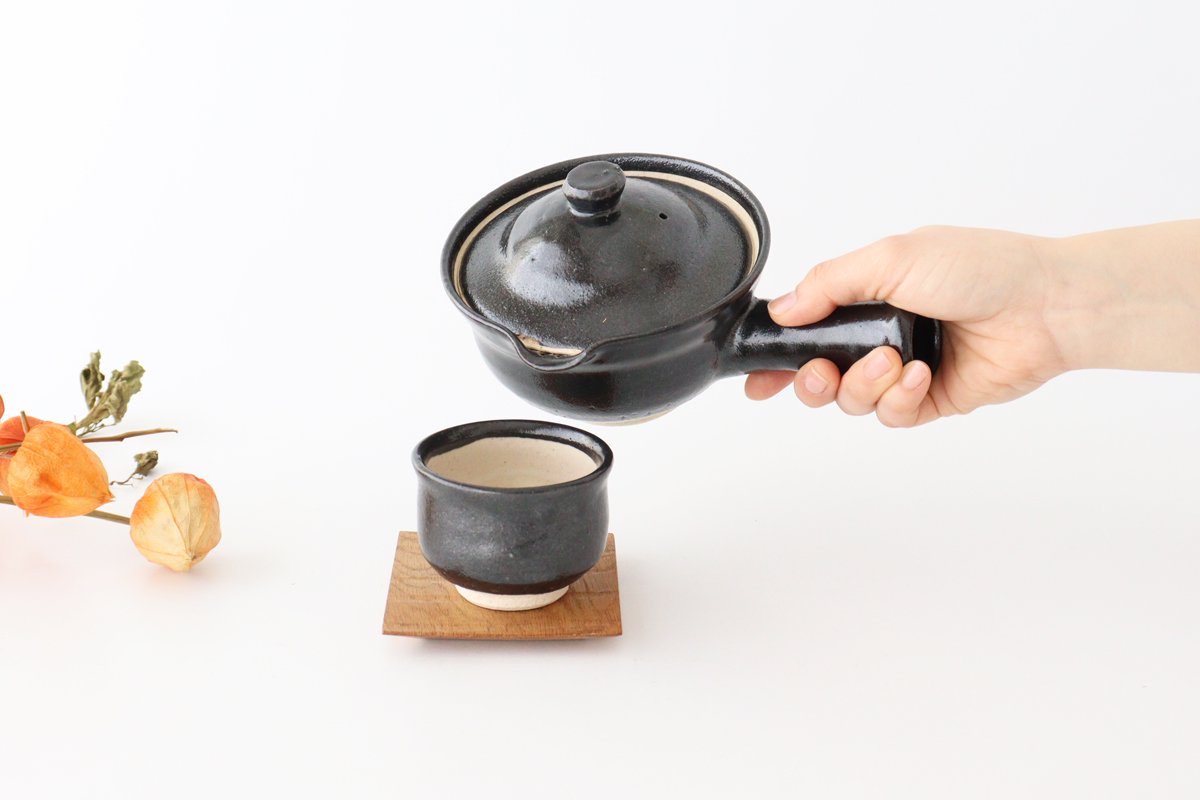 Japamese Cup Black Tenmoku | Yunomi Iga Ware