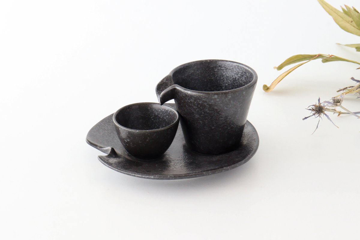 Cold Sake Ware Set Black | Mino Ware