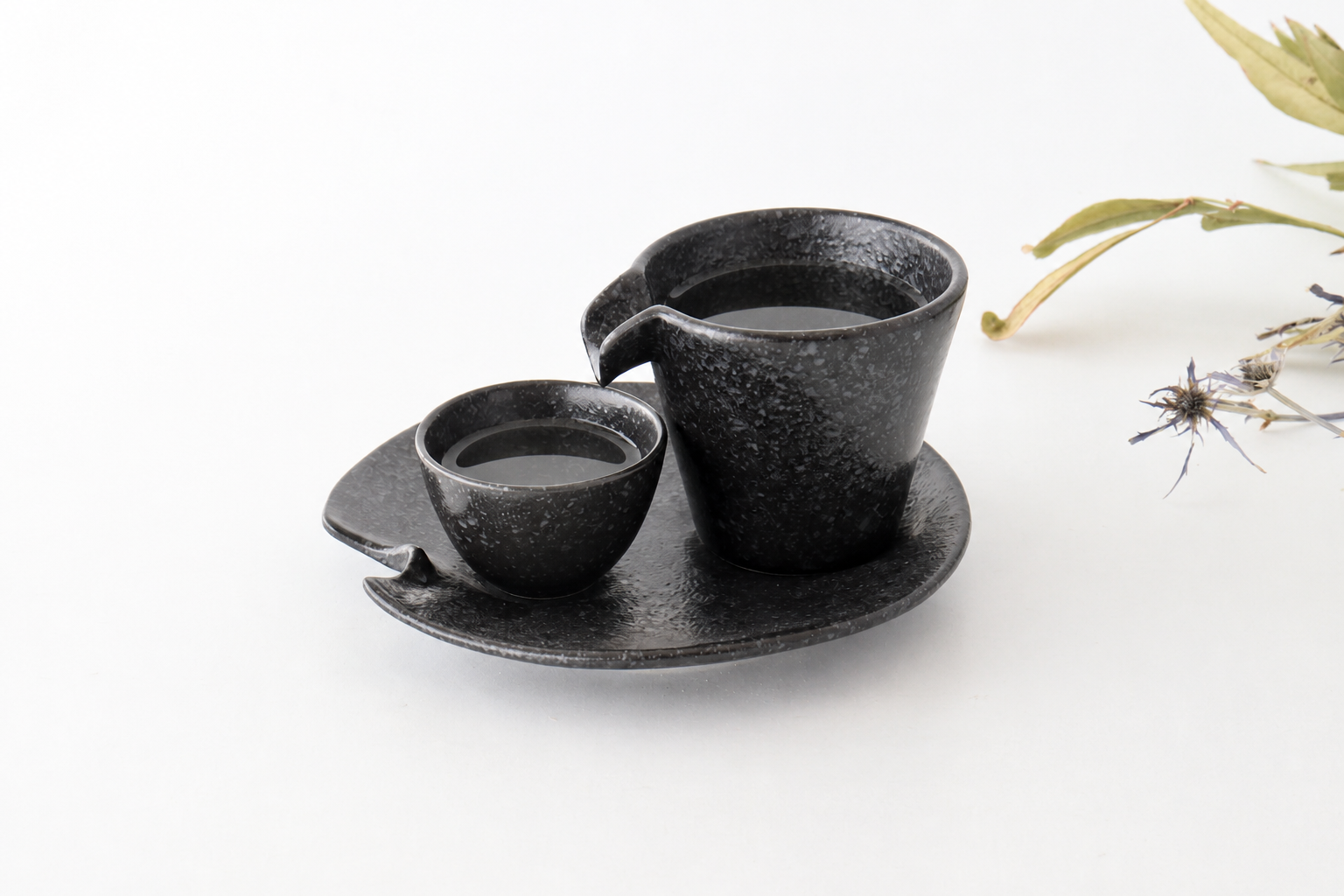 Cold Sake Ware Set Black | Mino Ware