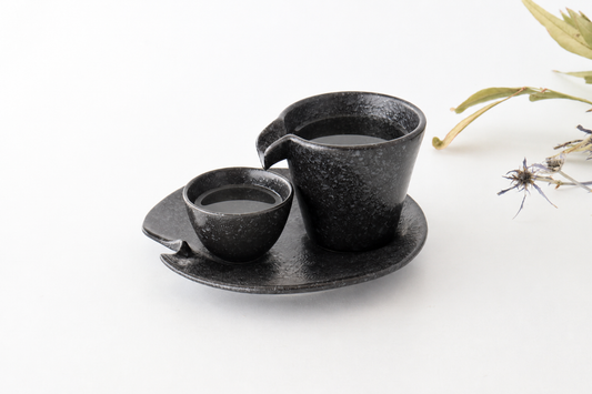 Cold Sake Ware Set Black | Mino Ware