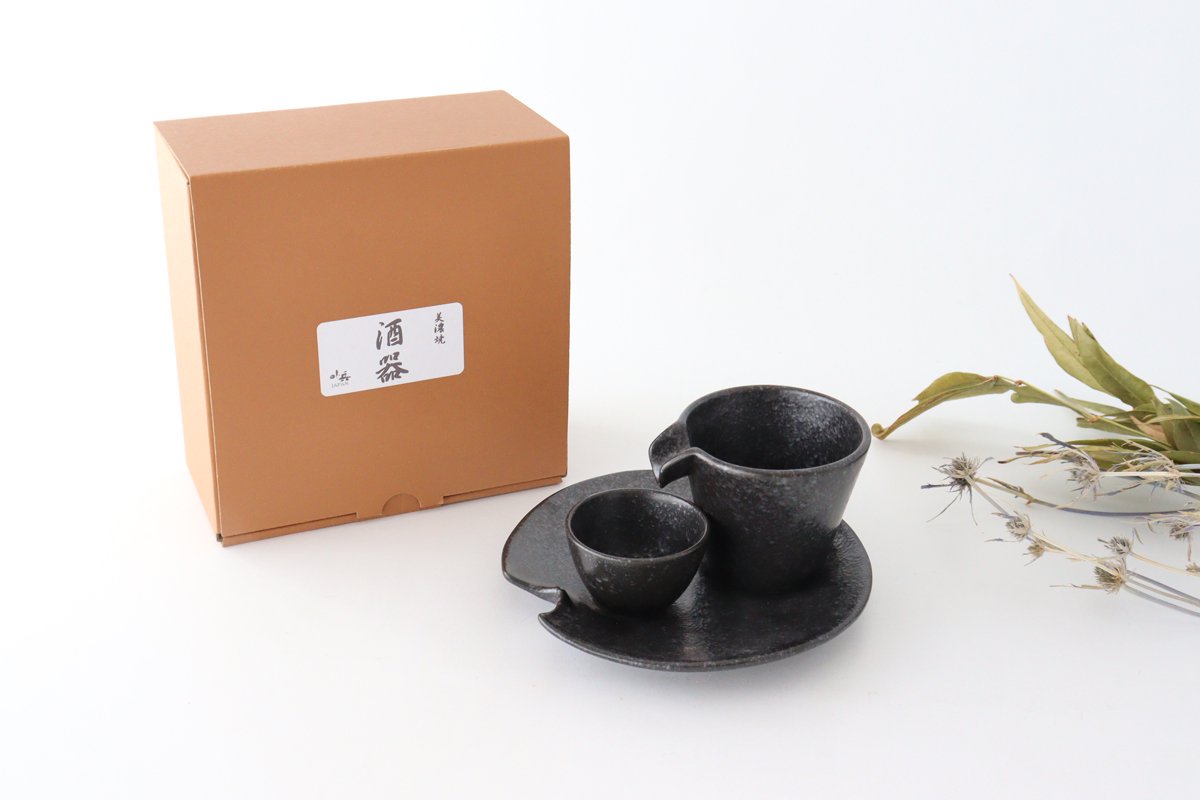 Cold Sake Ware Set Black | Mino Ware