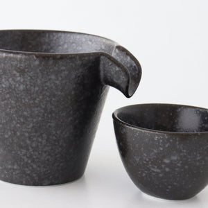 Cold Sake Ware Set Black | Mino Ware