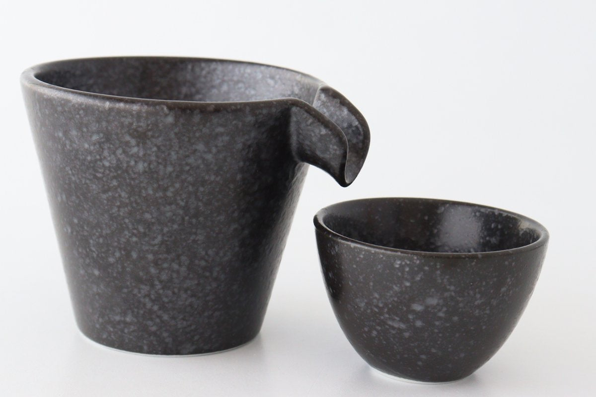 Cold Sake Ware Set Black | Mino Ware