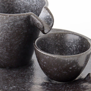 Cold Sake Ware Set Black | Mino Ware