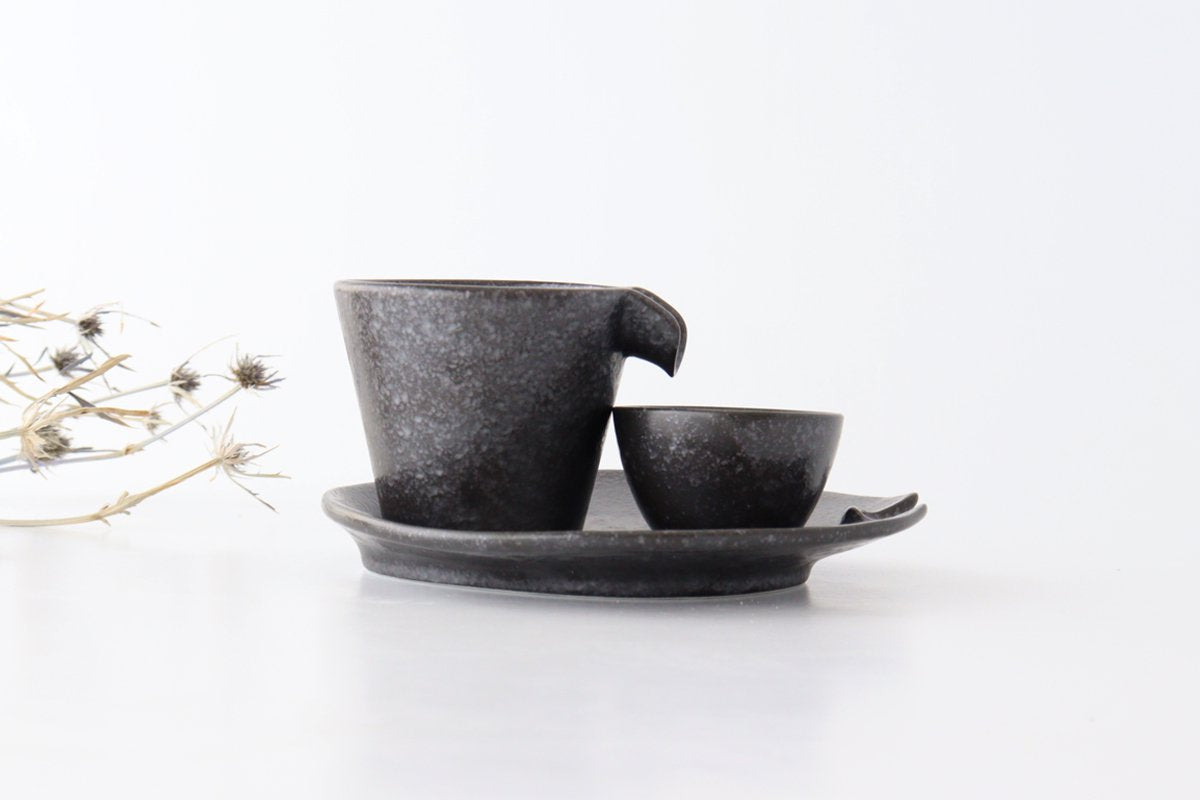 Cold Sake Ware Set Black | Mino Ware