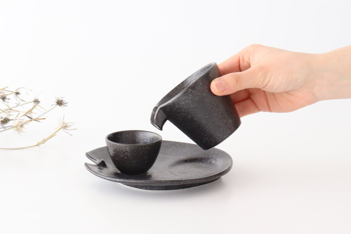 Cold Sake Ware Set Black | Mino Ware