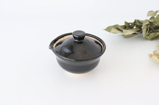 Japanese Teapot Hohin Black | Kyusu Iga Ware