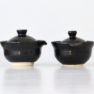 Japanese Teapot Hohin Black | Kyusu Iga Ware