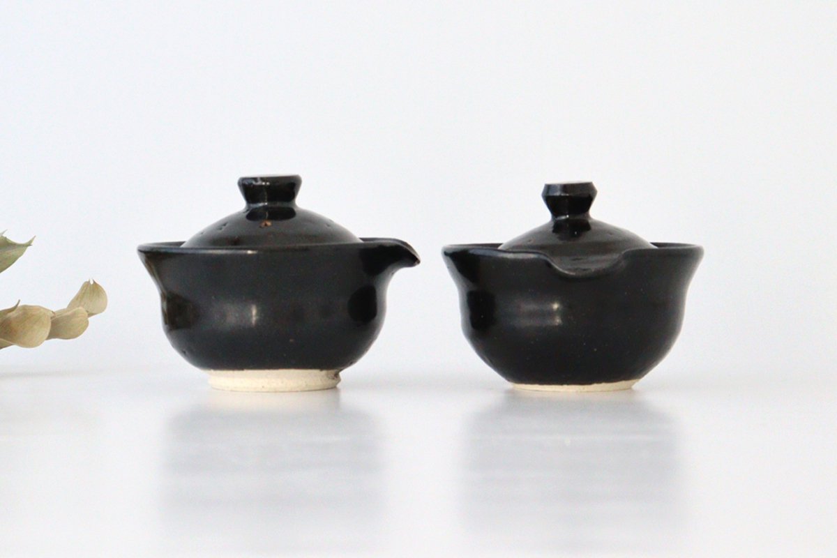 Japanese Teapot Hohin Black | Kyusu Iga Ware