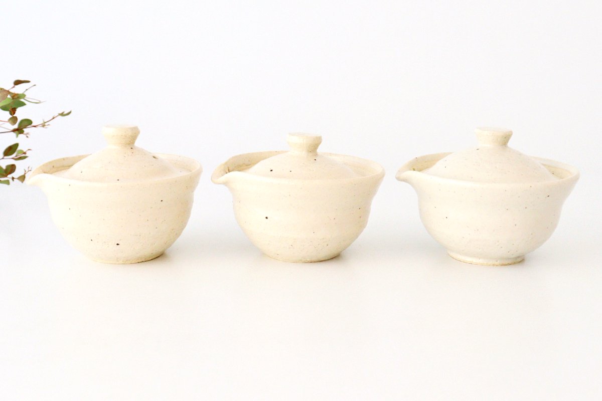 Japanese Teapot Hohin White | Kyusu Iga Ware