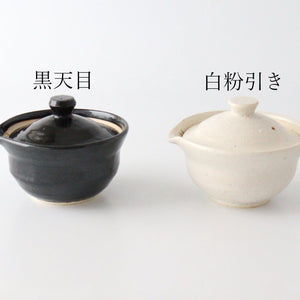 Japanese Teapot Hohin White | Kyusu Iga Ware