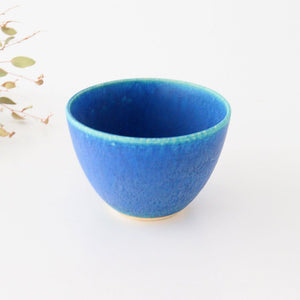 Salad Bowl Turquoise | Serving Bowl Shigaraki Ware