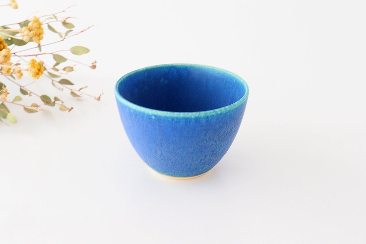 Salad Bowl Turquoise | Serving Bowl Shigaraki Ware