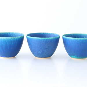 Salad Bowl Turquoise | Serving Bowl Shigaraki Ware