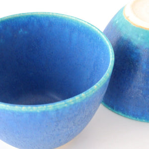 Salad Bowl Turquoise | Serving Bowl Shigaraki Ware