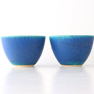 Salad Bowl Turquoise | Serving Bowl Shigaraki Ware