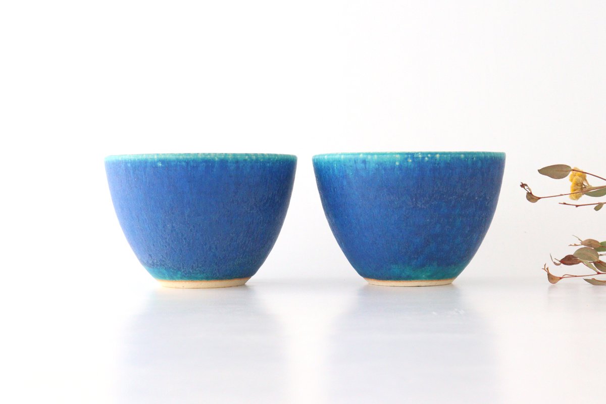 Salad Bowl Turquoise | Serving Bowl Shigaraki Ware