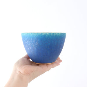 Salad Bowl Turquoise | Serving Bowl Shigaraki Ware