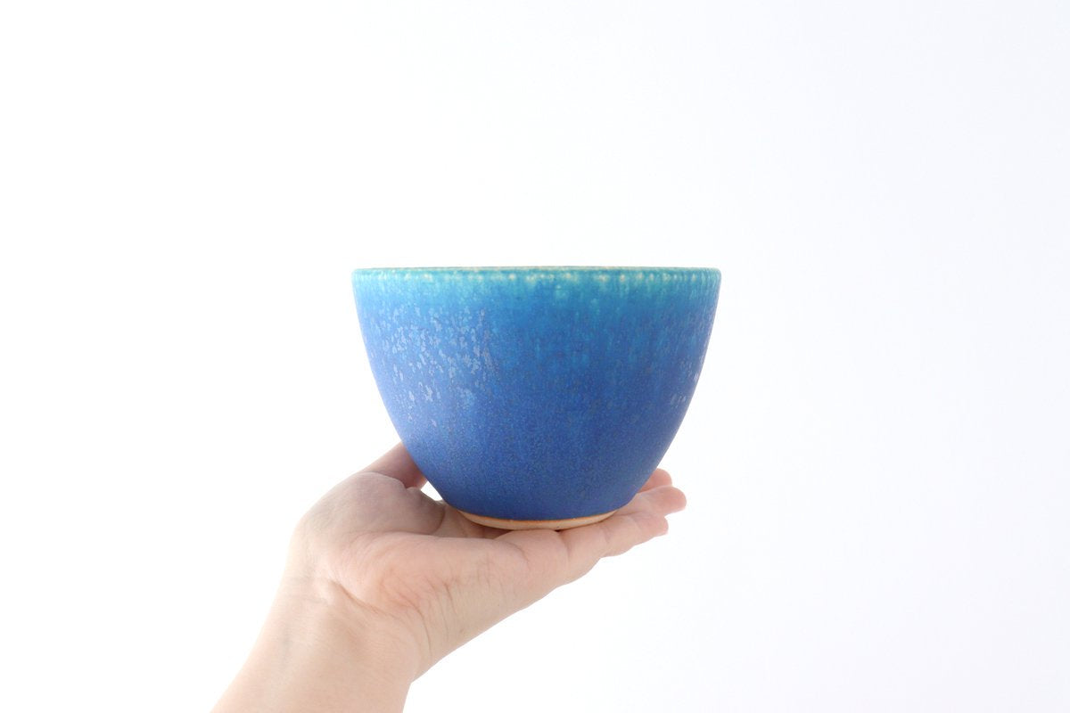 Salad Bowl Turquoise | Serving Bowl Shigaraki Ware