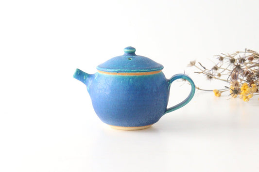 Japanese Teapot Turquoise | Kyusu Shigaraki Ware